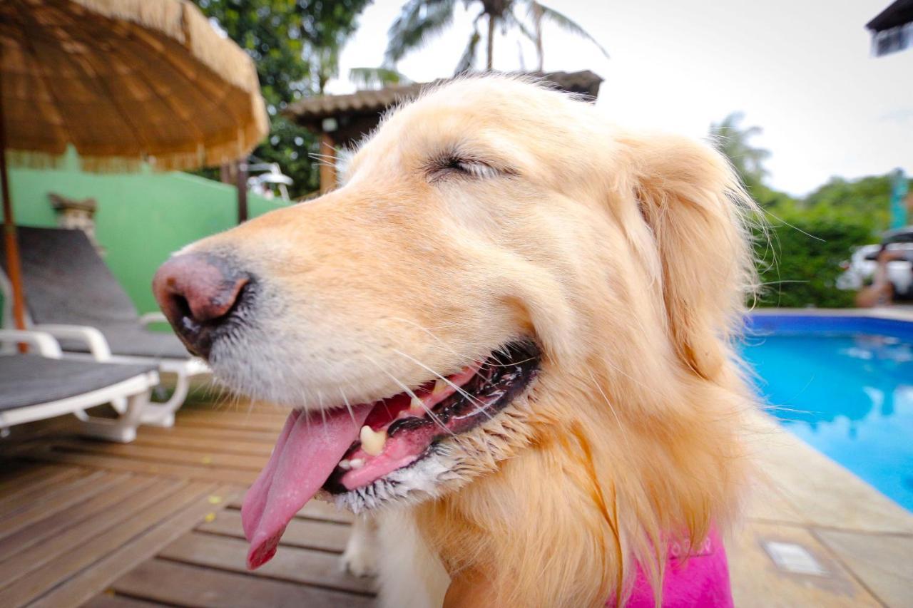 Pousada Pura Vida มาเรเซียส ภายนอก รูปภาพ