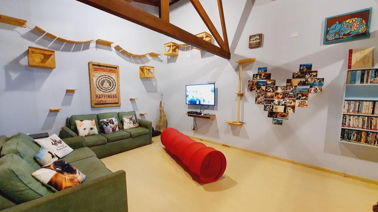 Pousada Pura Vida มาเรเซียส ภายนอก รูปภาพ